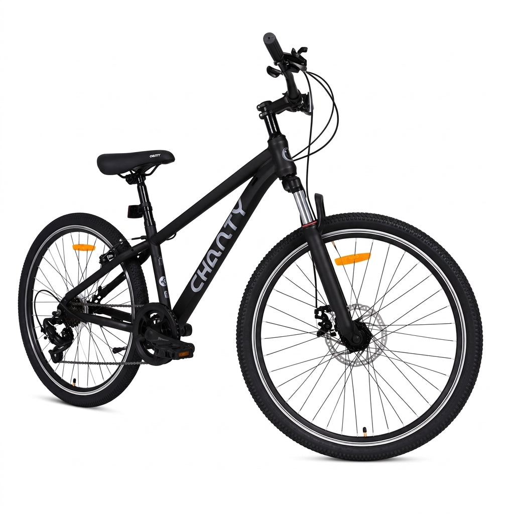 Chanty MTB 20" svart