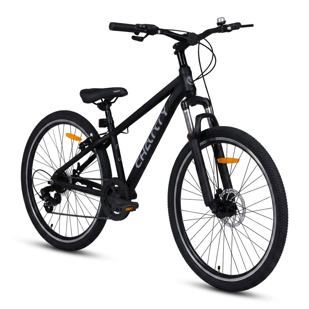 Chanty MTB 20" svart