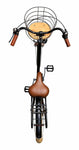 Chanty Brown Lady 26