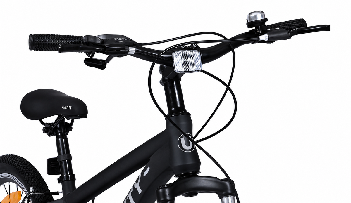 Chanty MTB 20" svart