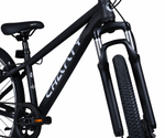Chanty Black Lady 26