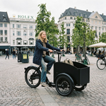 Cargo City Bike