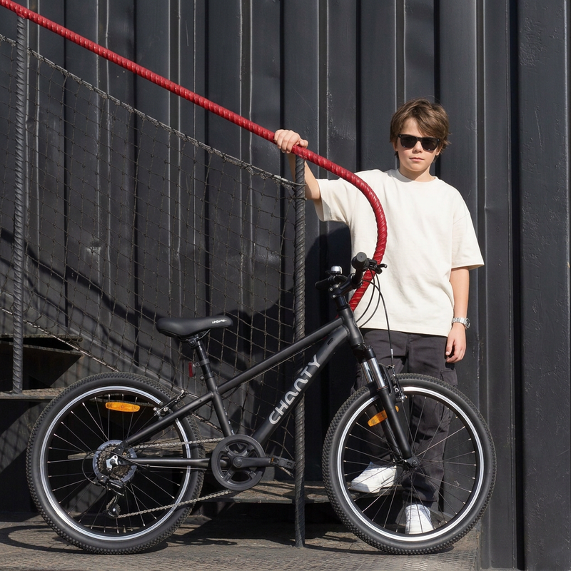 Chanty MTB 26" svart